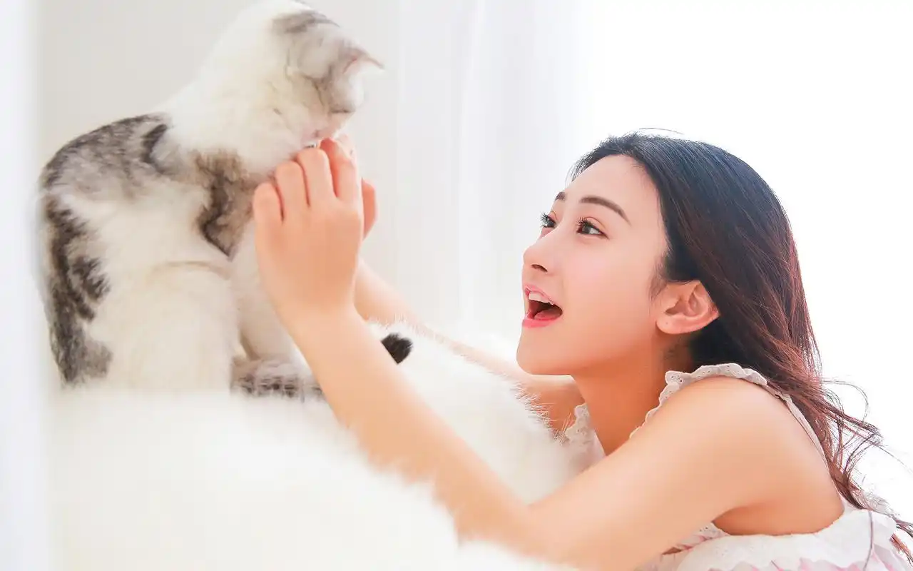 性感猫咖美女高清电脑桌面壁纸