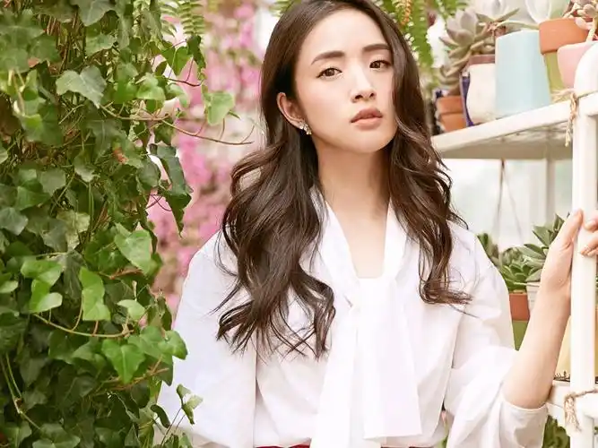 美女明星林依晨时尚性感写真桌面壁纸