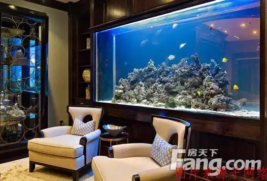 客厅沙发旁边可以摆放鱼缸吗客厅可以放鱼缸养鱼吗