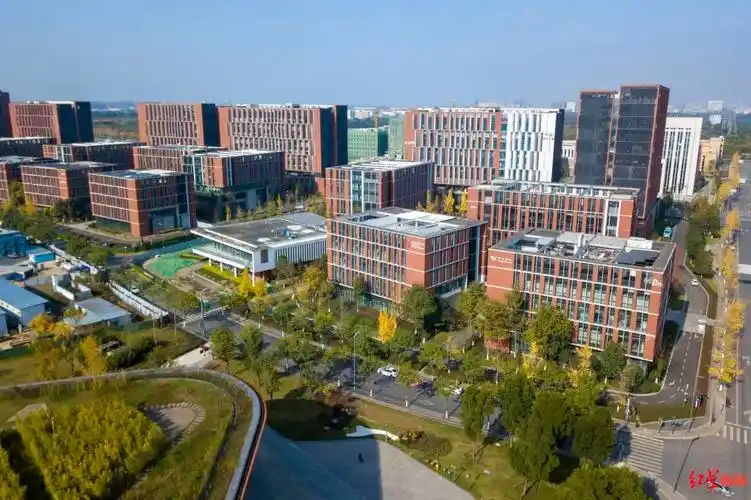 川大华西医院加持ta还要建更大的朋友圈