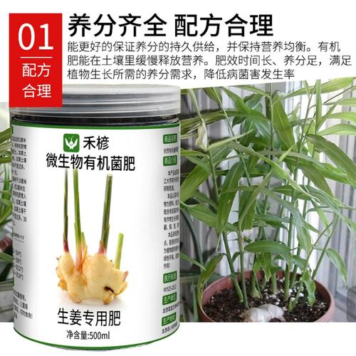 生姜肥料专用肥姜类种植有机肥复合肥家用种菜缓释介质