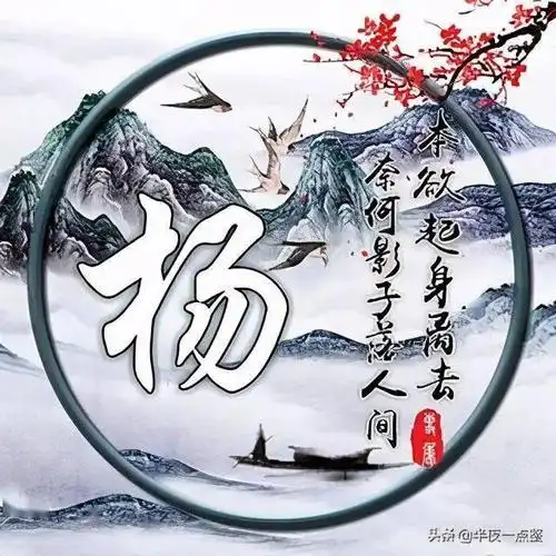 每日一姓百家姓姓氏头像之杨