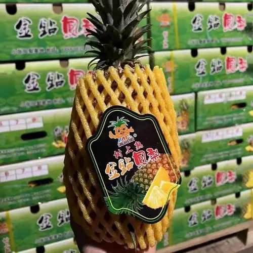 台湾品种金钻凤梨新鲜水果海南树上熟凤梨爆甜菠萝不涩口削皮即食