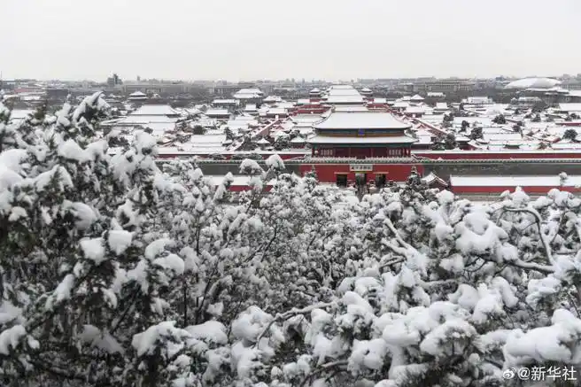 故宫龙年初雪壁纸来了##雪后的故宫怎么拍都好看##故宫雪景