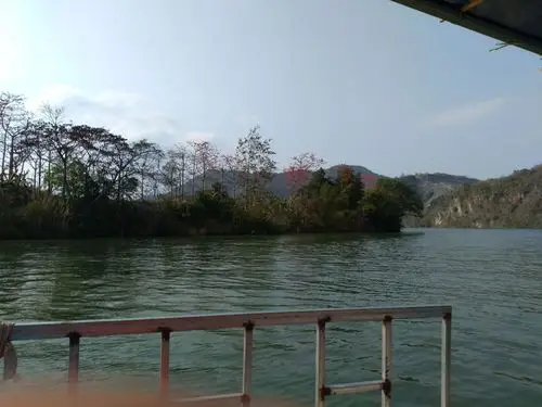 霸王岭景区木棉红