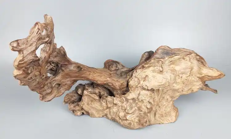 天然树根根雕风化木杉木壳随形摆件创意手工艺根雕