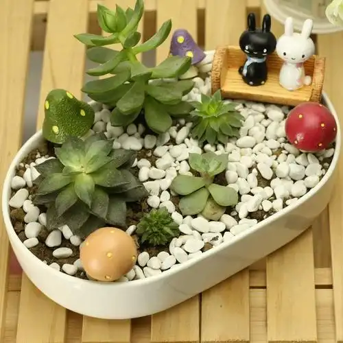 多肉植物花盆白色陶瓷花器zakka日式超大长方形肉肉组盆拼盘必备