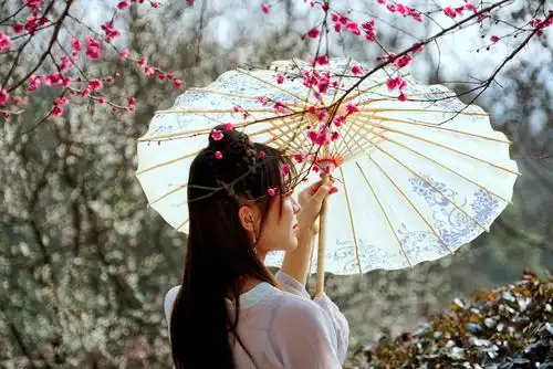 梅花古风人像摄影2019