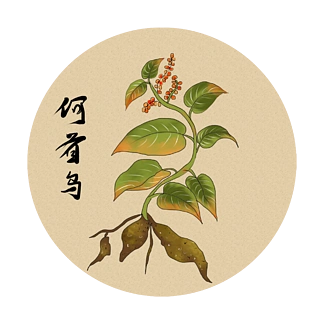 【,何首乌】图片免费下载_,何首乌素材_,何首乌模板-千图网
