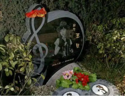 乔任梁墓地干净如初姚贝娜墓地一尘不染而他离世15年没安葬