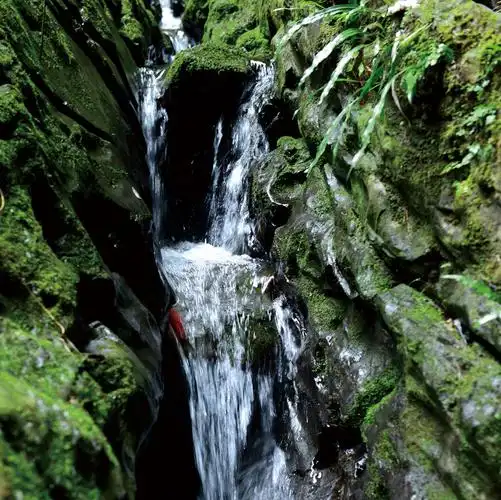 湖南十八洞村的山泉水已在无印良品门店正式上架