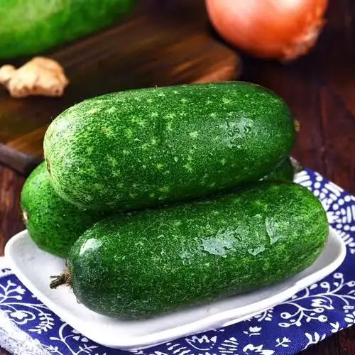 新鲜蔬菜小冬瓜青皮农家有机种植10斤迷你毛节瓜山东