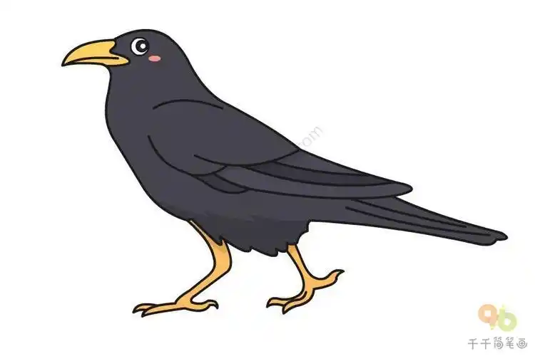 乌鸦的简笔画乌鸦的简笔画图片大全可爱彩色
