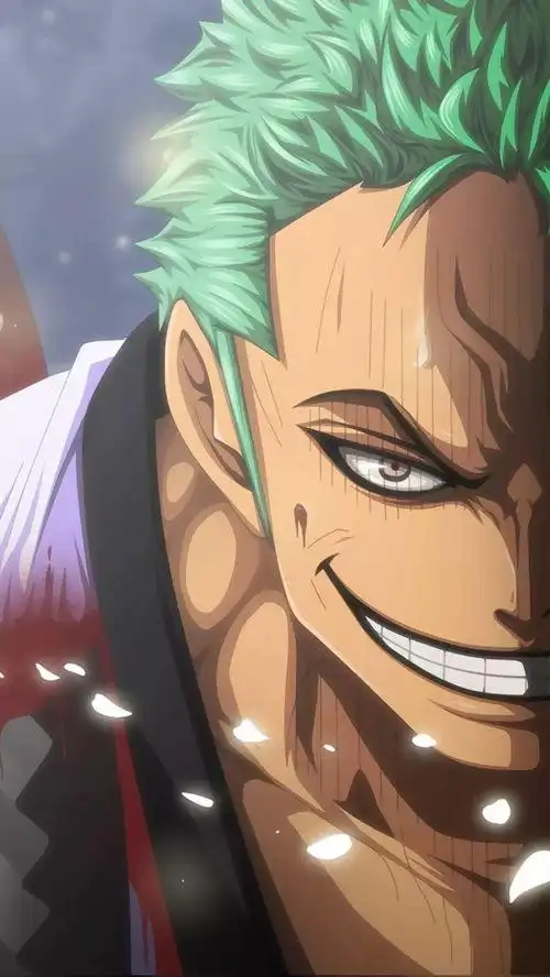 索隆横版高清手机壁纸 - 搜狗图片搜索