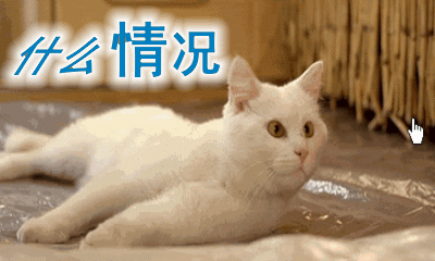 喵星人萌萌哒动图表情包第二弹