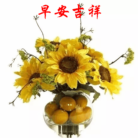 早安问候语图片 - 美篇