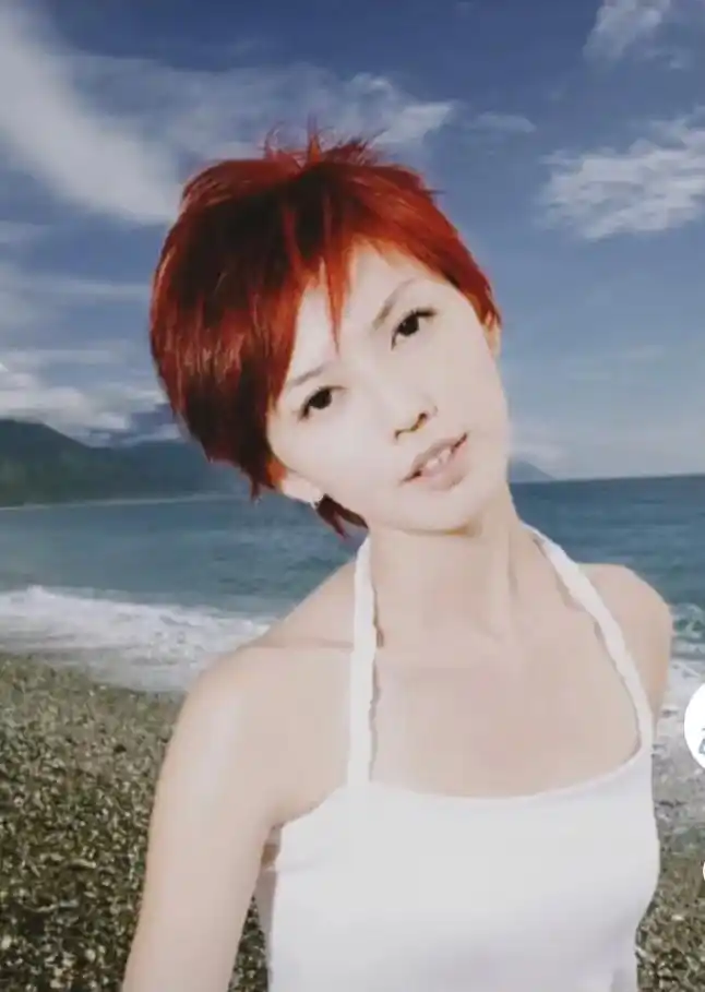 孙燕姿 #神仙颜值 #人美歌甜 #逆光 - 抖音