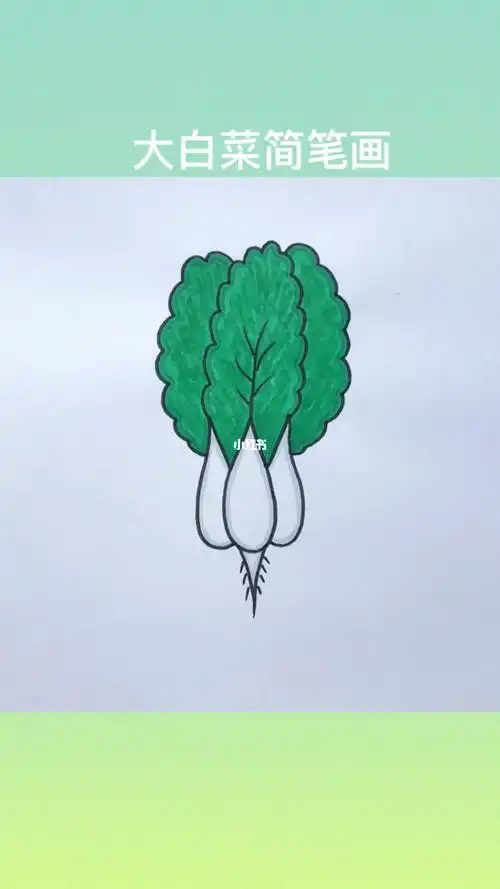 大白菜简笔画