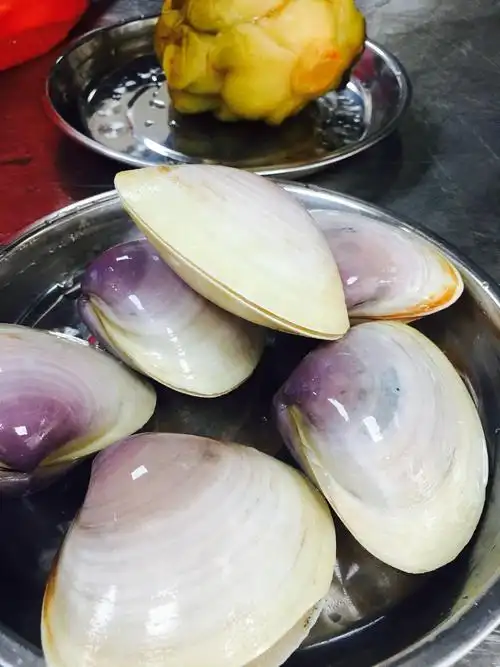 海蚌怎么炒,海蚌怎么炒好吃(闽菜之《榨菜汆海蚌》)