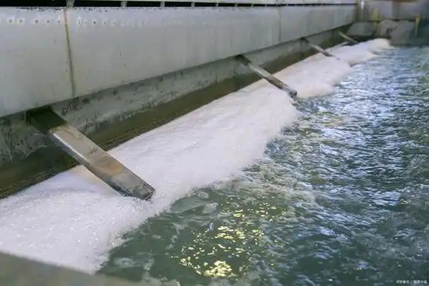 污水特性以及主要的污染物有哪些