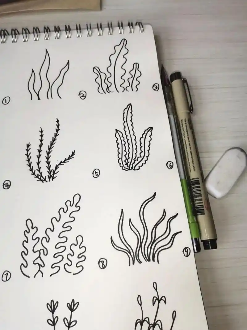 12种海草简笔画画法-原创46