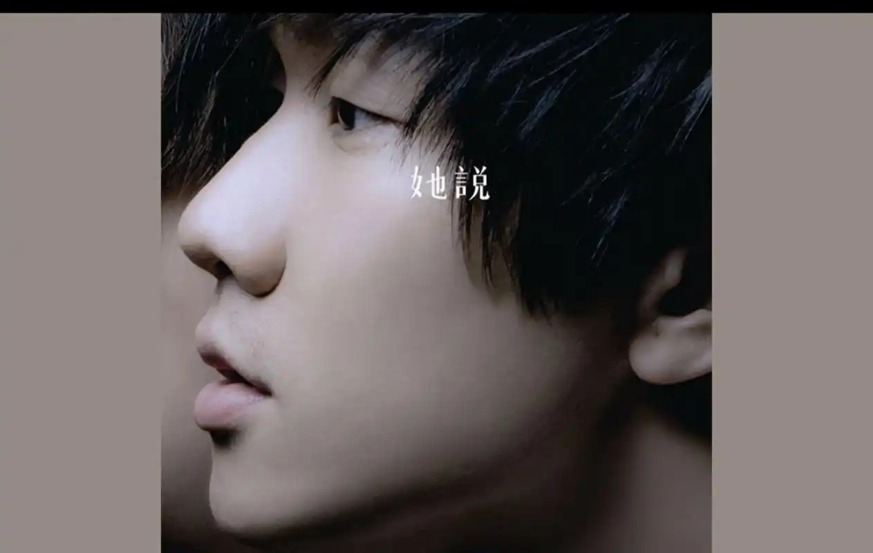 歌曲经张碧晨在好声音上的翻唱,再次火遍全国.