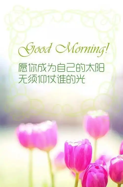 2020积极阳光正能量的简短句子