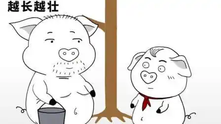 怎么是这个结局,草率了