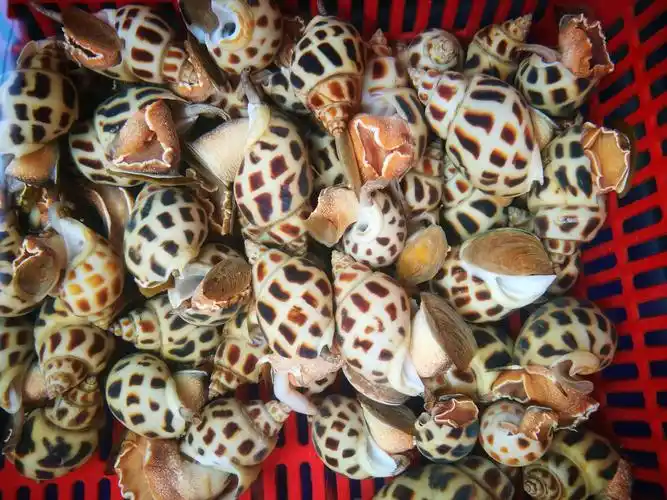 金伟的美篇 - 美篇