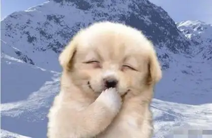 puppy smile - 萌宠笑啦_可爱_萌萌哒表情