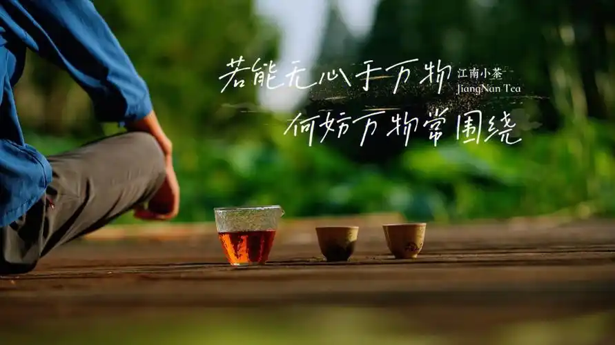 人生如茶空杯以对