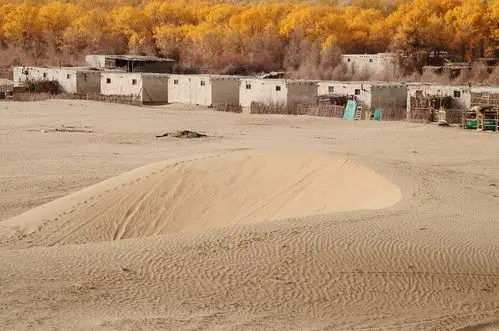新疆大漠中的突厥野人村