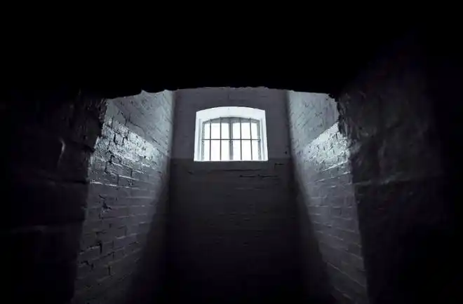 压榨囚犯等手段,美国私营监狱企业获取了大量财富,又将沾染了铁窗血泪