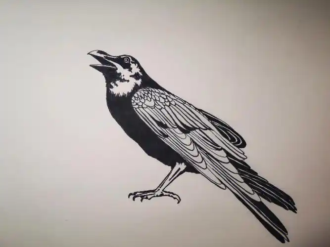 7钢笔画一只乌鸦