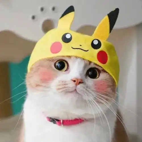 萌化人心神仙颜值