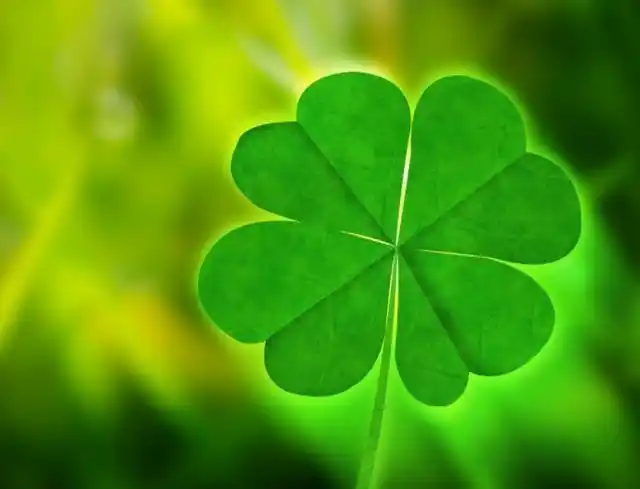 心理测试选一颗幸运草测你未来三个月的运势