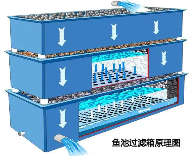 自制鱼池过滤箱原理图