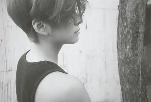 函数组合fx成员刘逸云