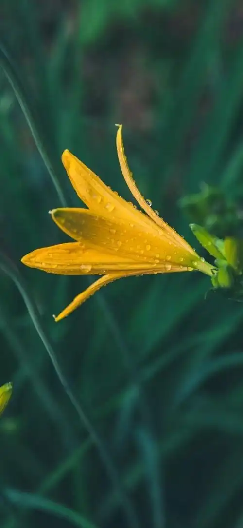 版块 69 华为手机 69 华为p20系列 69 分享屏保壁纸