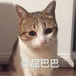 萌宠喵星人委屈巴巴难受呆萌可爱gif动图_动态图_表情包下载_soogif