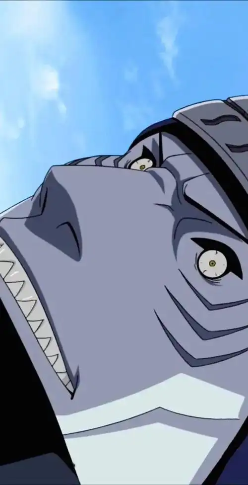 火影壁纸晓系列干柿鬼鲛