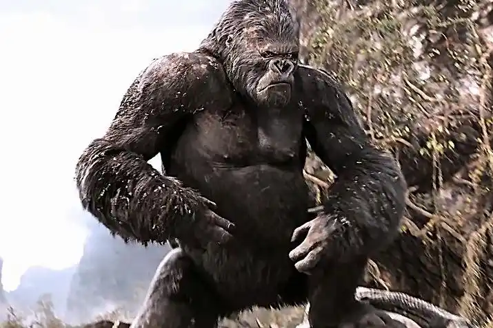 美女与野兽金刚大战恐龙再来十个都不成问题