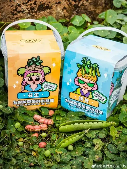 kkv##kkv好物##盆栽植物##种花##生活超集美好##逛万达##龙行龘龘