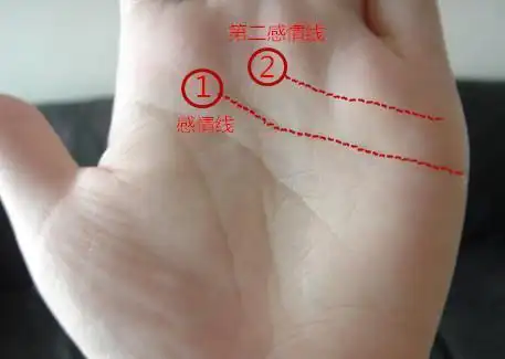 手掌上的感情线,又叫天纹感情线,有百分之二十的人会有另外一条感情线