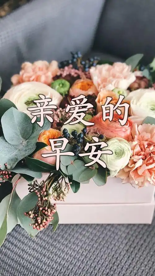 让人自律的正能量哲理小金句最好看亲爱的早安个性图片