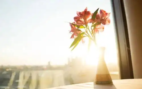 唯美阳光暖心文字