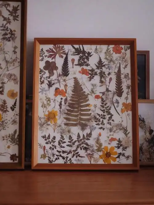 两幅干燥花标本排列作品分享林子小间