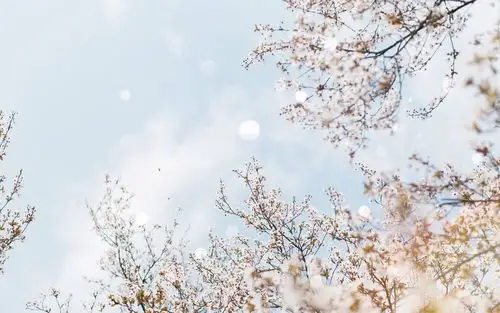 "富含哲理"的qq空间语录,句句精辟深刻,适合00后深夜发圈