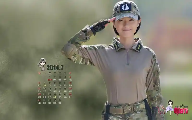 特种兵之火凤凰 壁纸