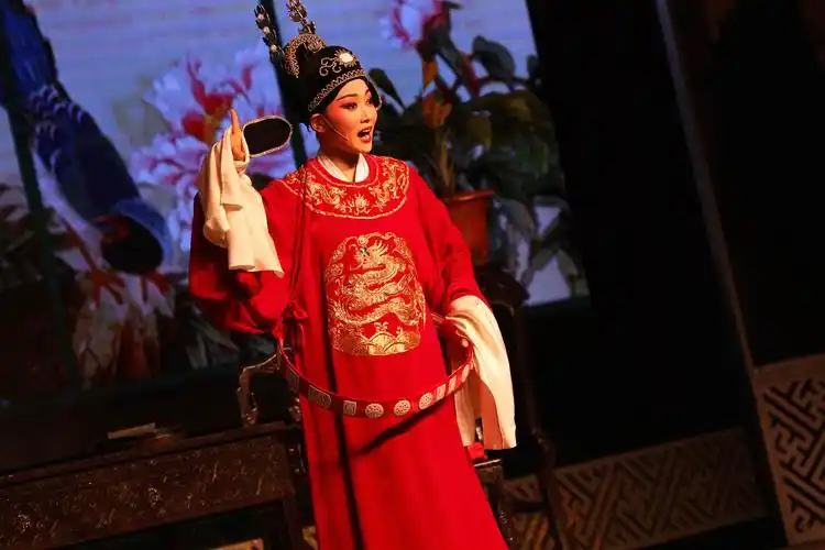 黄梅戏经典女驸马传统戏曲走进高校